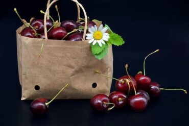 半導體封裝 有哪些？