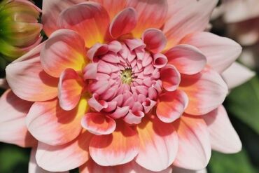 電腦最重要的是什麼？