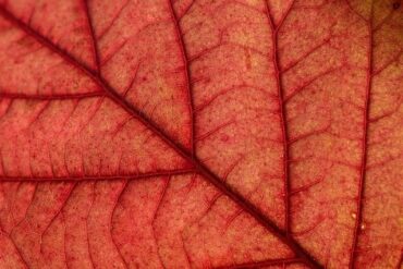 電腦壽命多久？