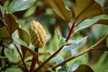 長榮退票手續費多少？