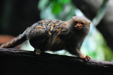 2024兩岸直航航點有哪些？