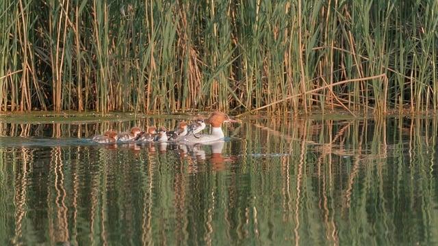 跟團尾款什麼時候付？