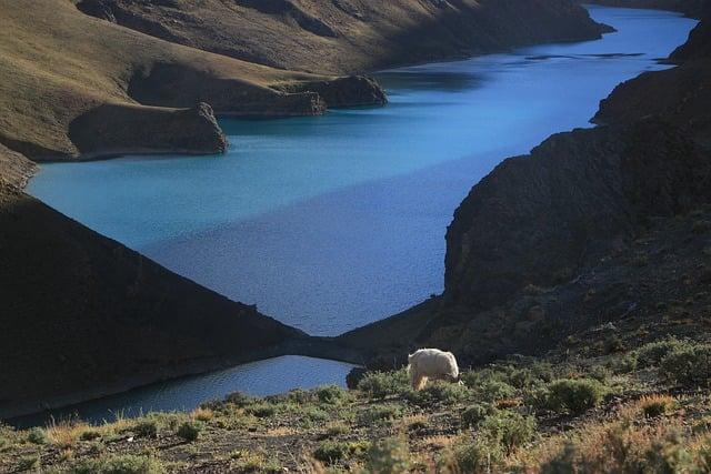 去西藏可以帶氧氣瓶嗎？