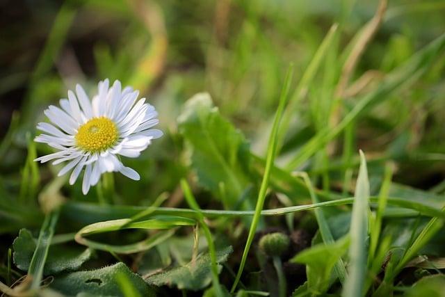 一萬塊可以做什麼投資？