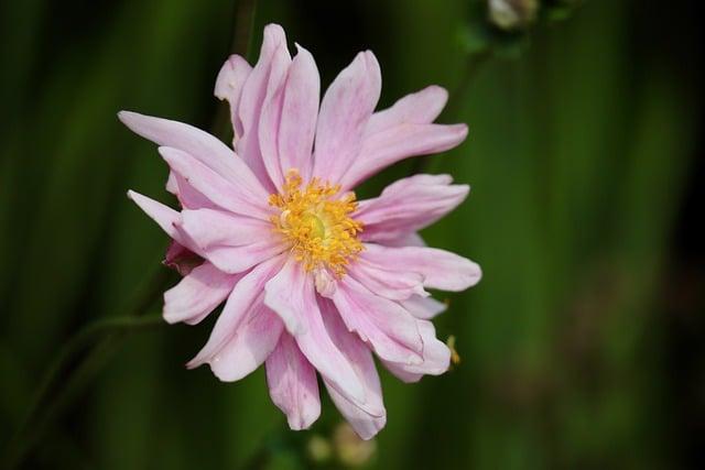 信用卡財力證明要多少？