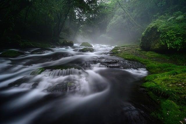 日本有國慶節嗎？