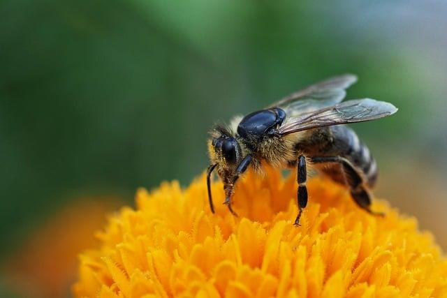 國慶會做什麼？
