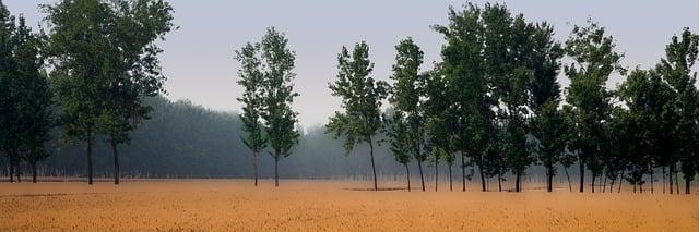 中國5/1放多久？