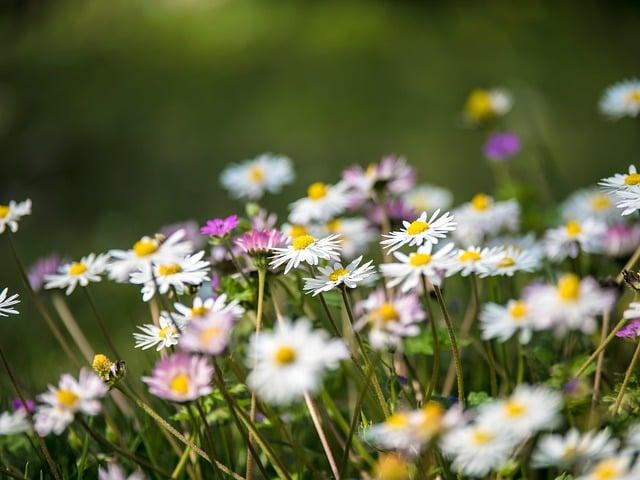 明年春節放幾天？