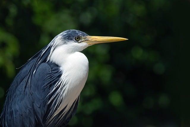 為什麼電費一個月繳一次？