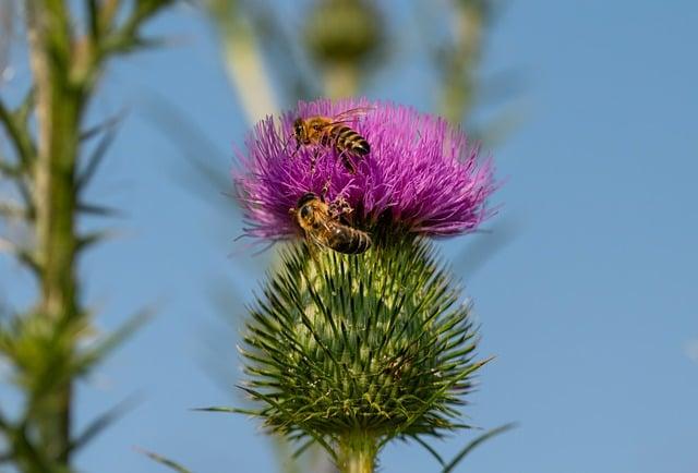國慶煙火花多少錢？